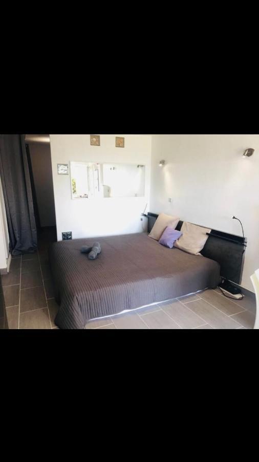 Grand Studio Bord De Mer Plus Piscine Sete Ngoại thất bức ảnh