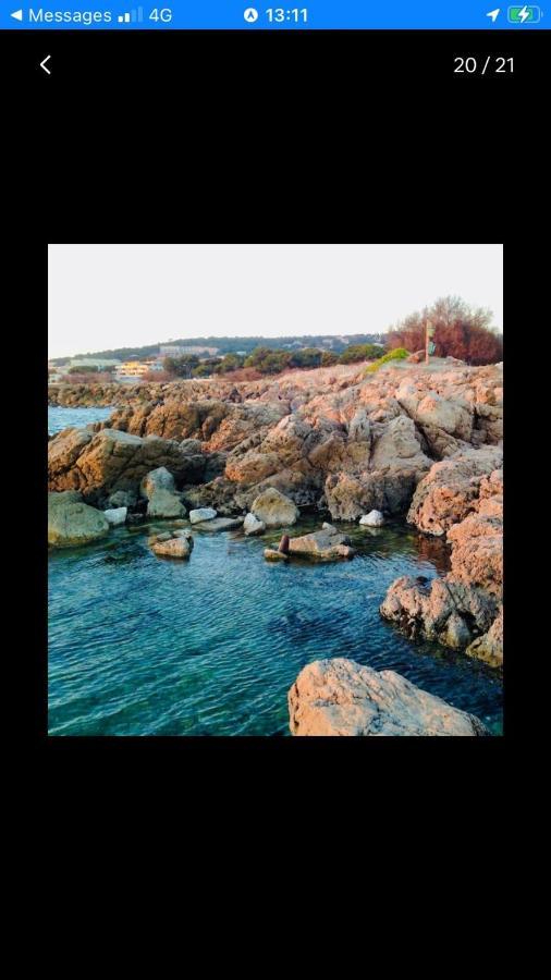 Grand Studio Bord De Mer Plus Piscine Sete Ngoại thất bức ảnh